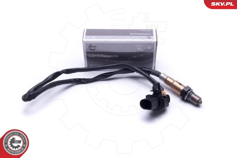 Oxygen Sensor